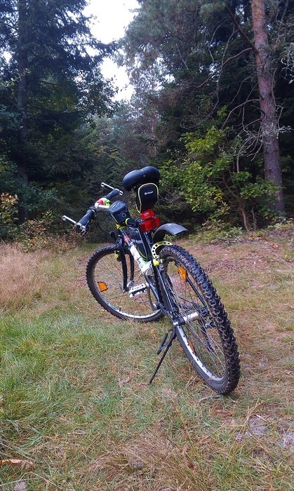 bicycle in the forest in poland