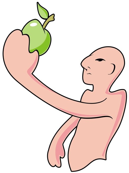 drawing of a man with apple