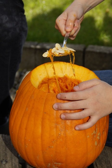 remove the seeds from the pumpkin