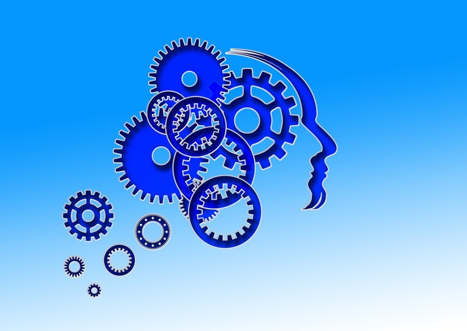 the process of damaging the gears schematically depict the human headache
