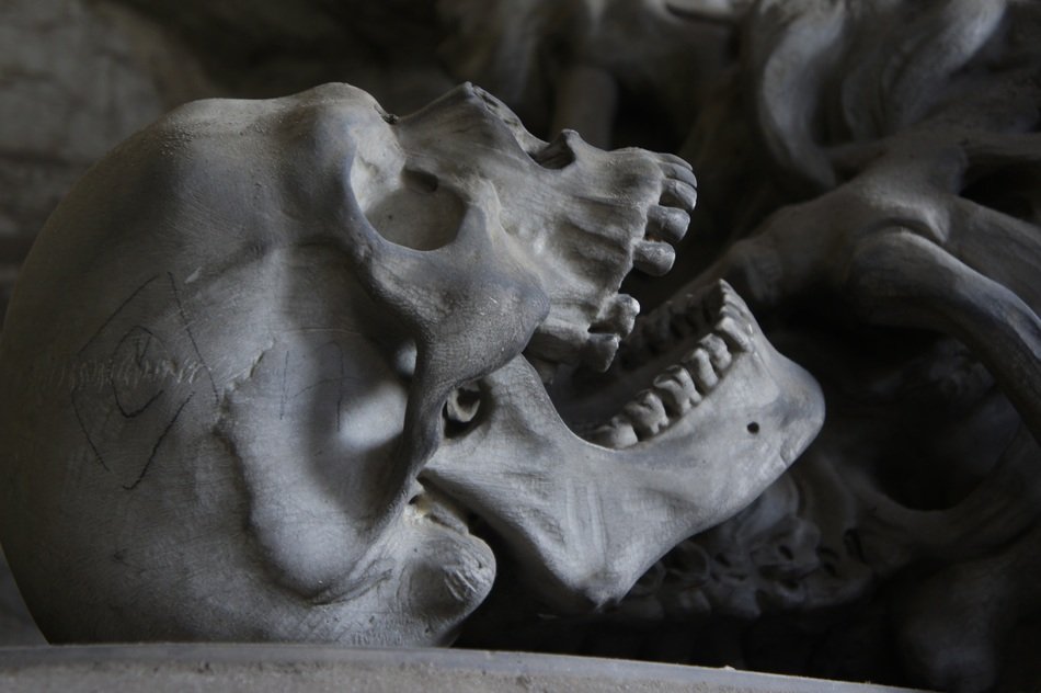 skull in the cemetery close up