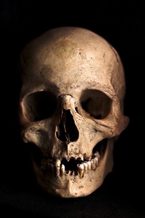 skull on black background
