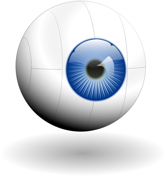clipart of the eye