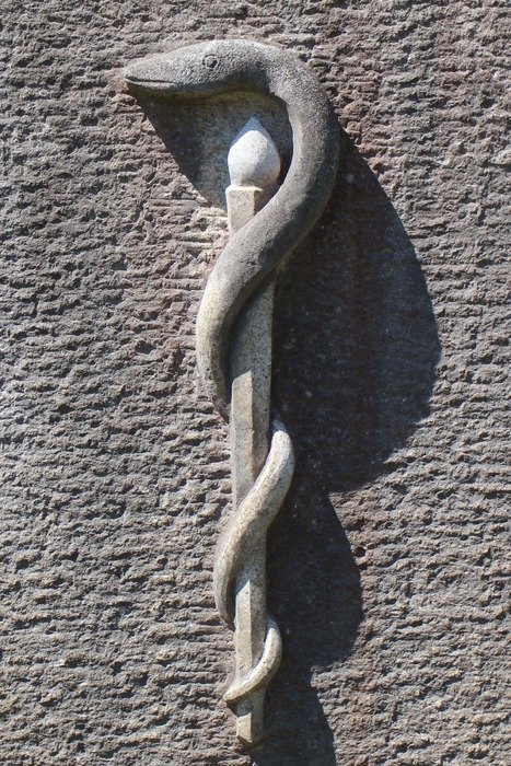 relief of the &auml;skulapstab on the wall