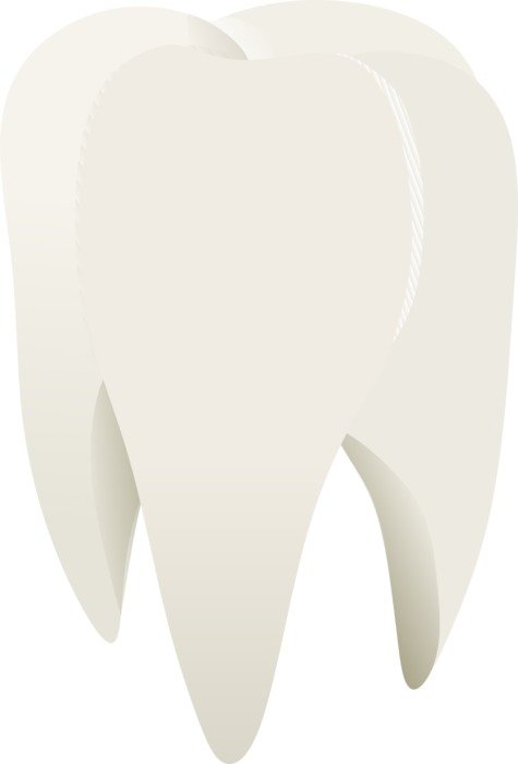 Clipart of the toot