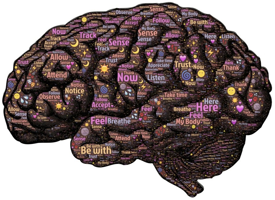 the human brain with the signatures of the processes of mindfulness