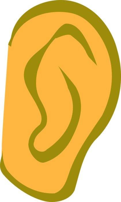 İllustration of ear