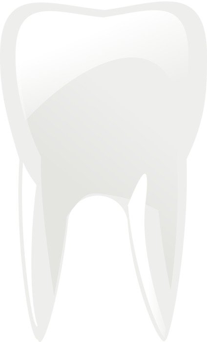 İllustration of tooth