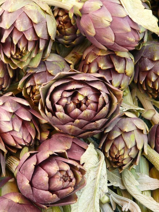 Macro photo of artichokes