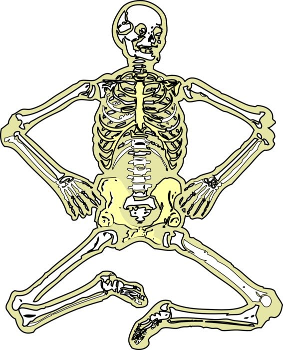 İllustration of skeleton