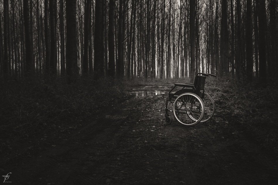 lonely wheelchair in the dark forest