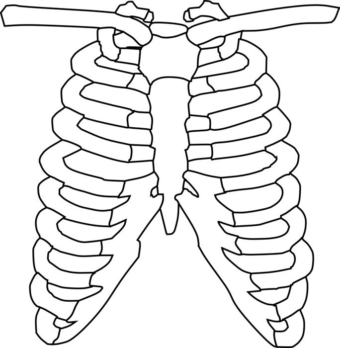 Black and white picture of the ribcage clipart