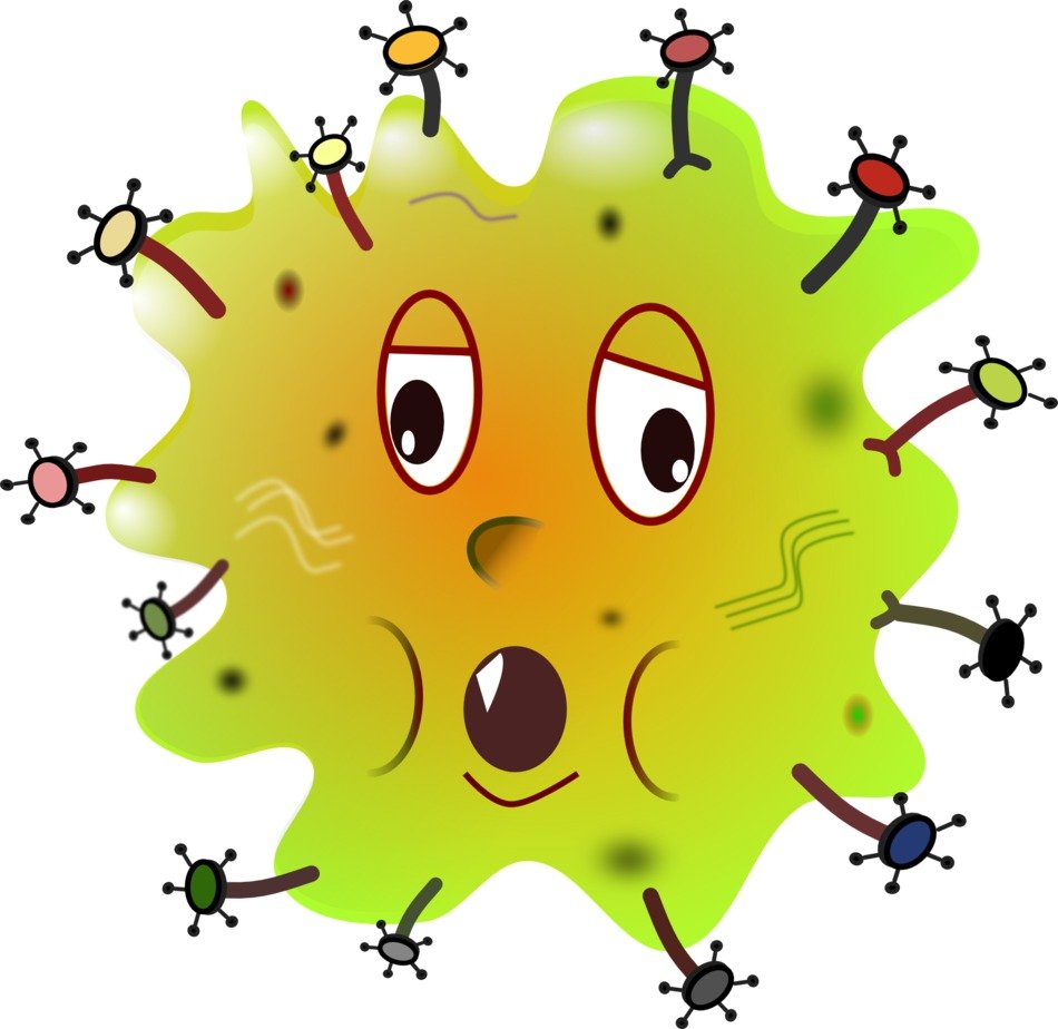 yellow bacterium on a white background