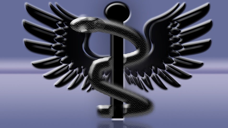 snake physician statue