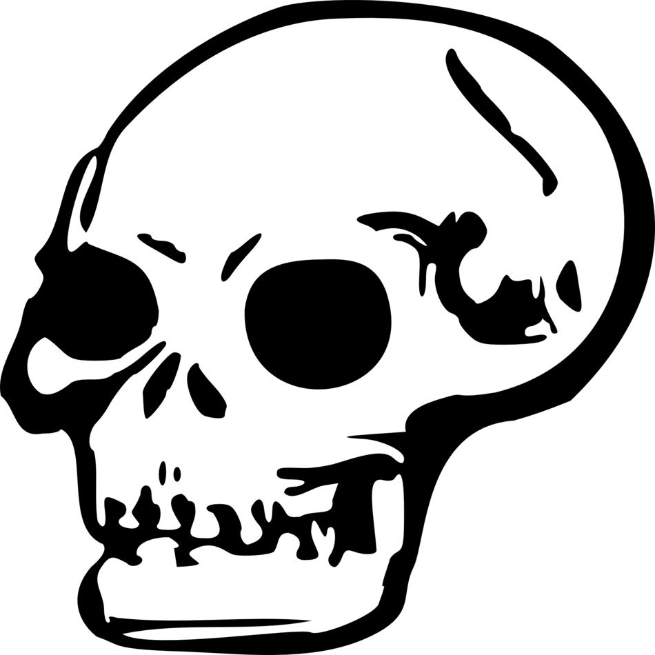 Clipart of Human skull