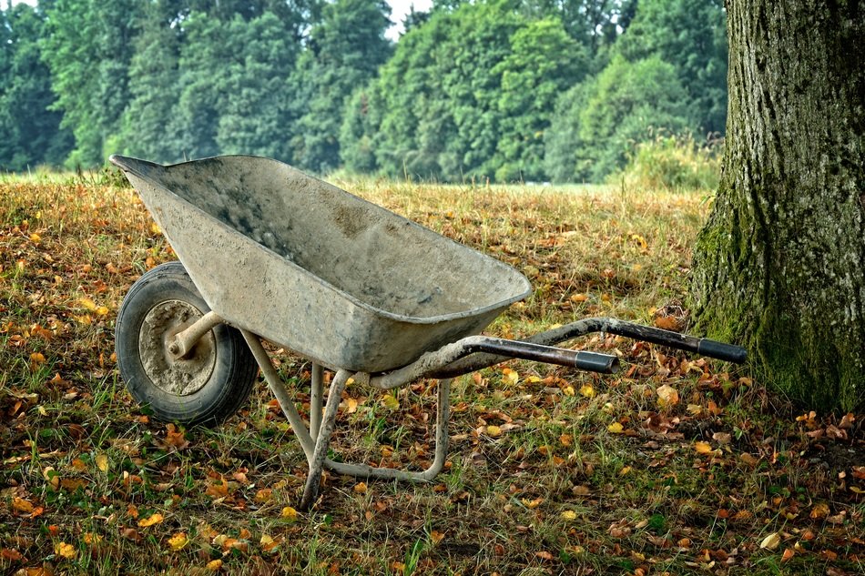 grunge wheelbarrow beneath tree at fall