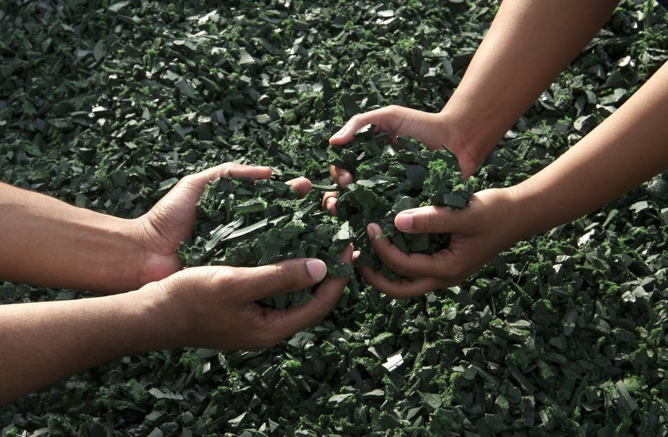 green raw in the hands