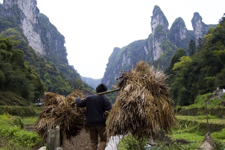 farmer with hay among the picturesque mountain landscape