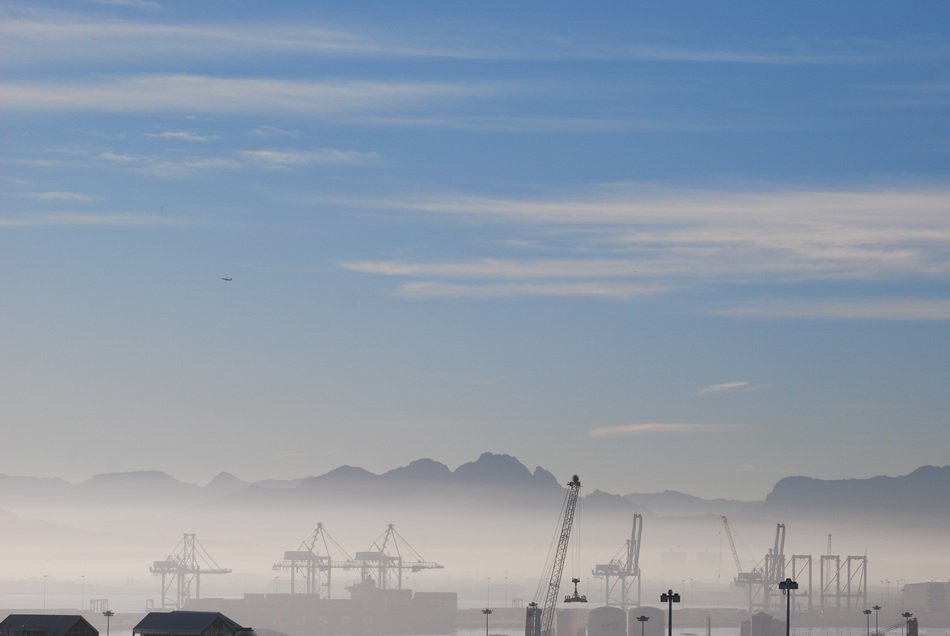 Cranes in the fog clipart