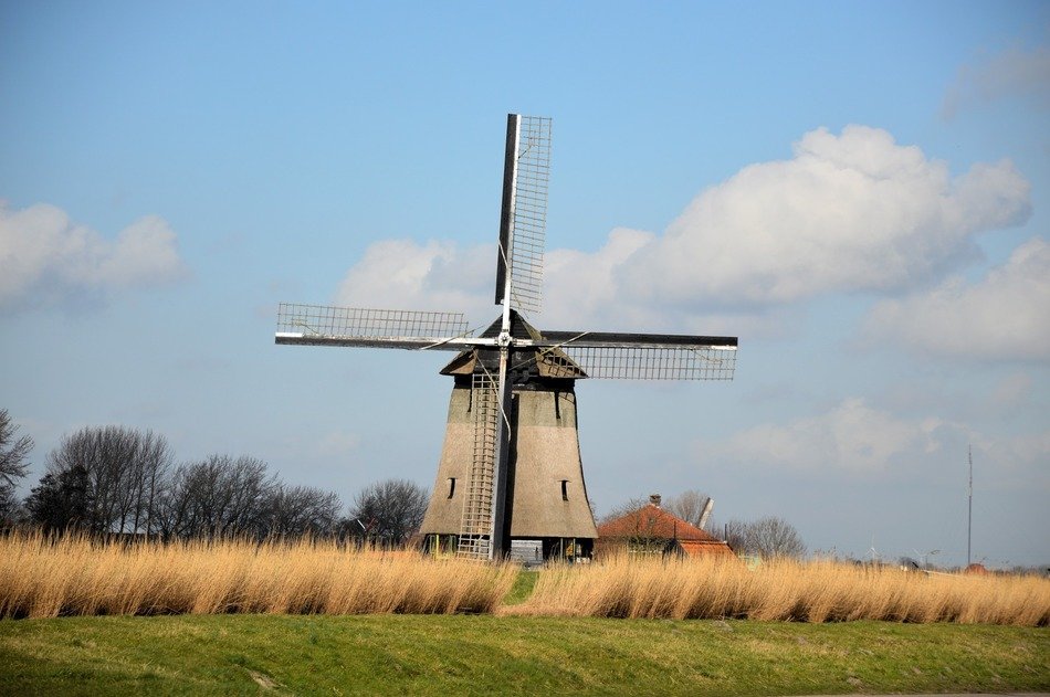 windmill in countryside of holland