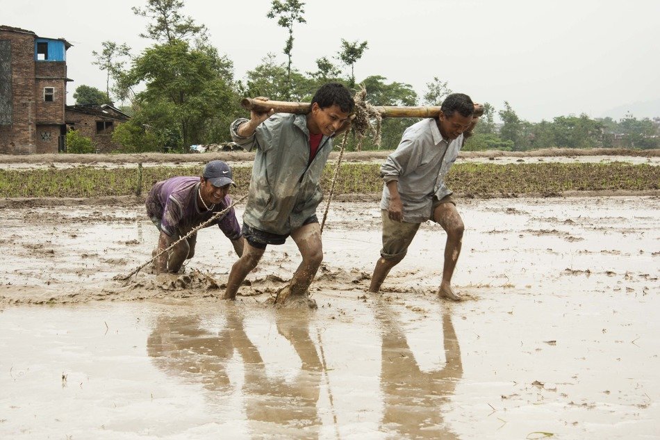 People at work in the water