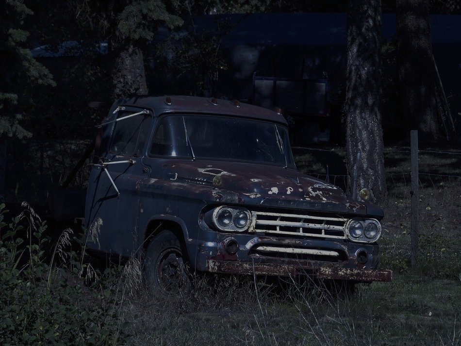rusty truck in the woods
