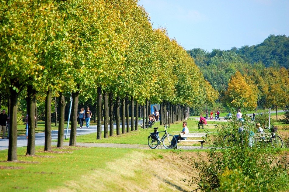 green nordsternpark