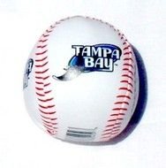 Tampa Bay Rays Baseball