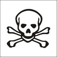 SKULLBONES