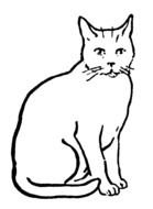 Cat Clip Art N170