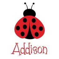 Lady Bug addison drawing