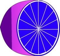 Shopped Lime Vector Clip Art