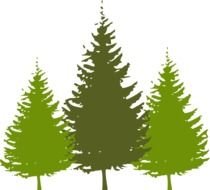Forest Trees Clip Art N15