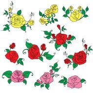 color flower set drawing