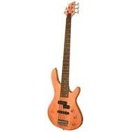5 String Electric Bass Guitars