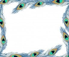 Peacock Border Clip Art N13