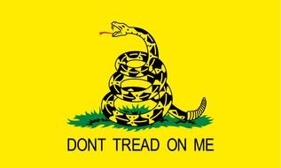 Dont Tread On Me poster drawing