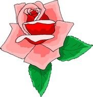 pink Flower Clip Art drawing