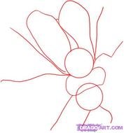 Step By On How To Draw A Bumble Bee Pictures