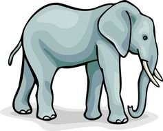 Elephant Clip Art N101