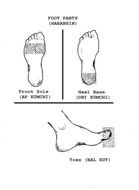 Foot Parts drawing