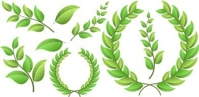 green wreaths as a graphic illustration