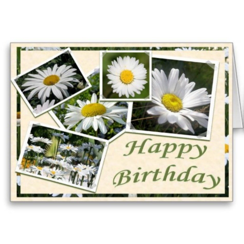 Happy Birthday Card Collage