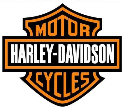 Harley Davidson Logo N46