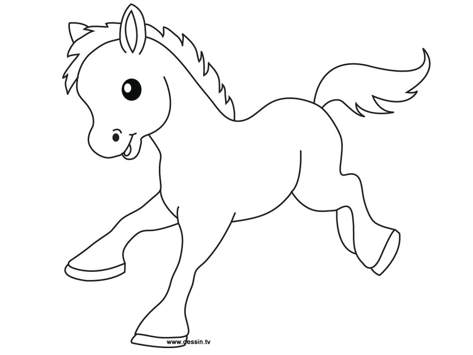 Baby Animals Coloring Pages N5