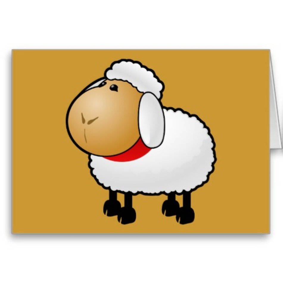 Sheep Illustration N2