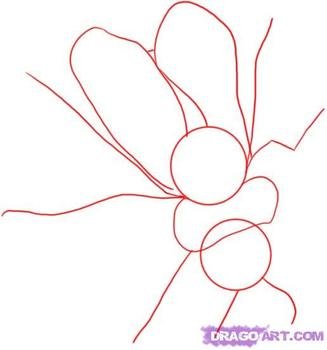 Step By On How To Draw A Bumble Bee Pictures