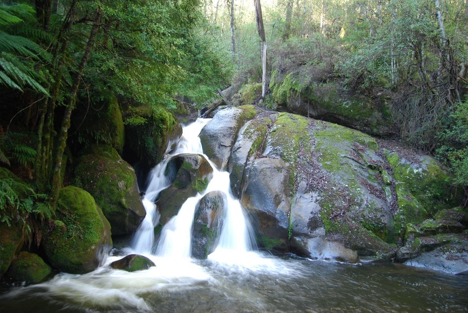 Tropical Rainforest water