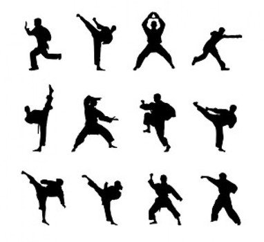 Kung Fu Martial Arts N3