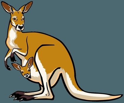 Kangaroo Clip Art N80